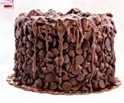 Royal Heavy Chocochip Cake